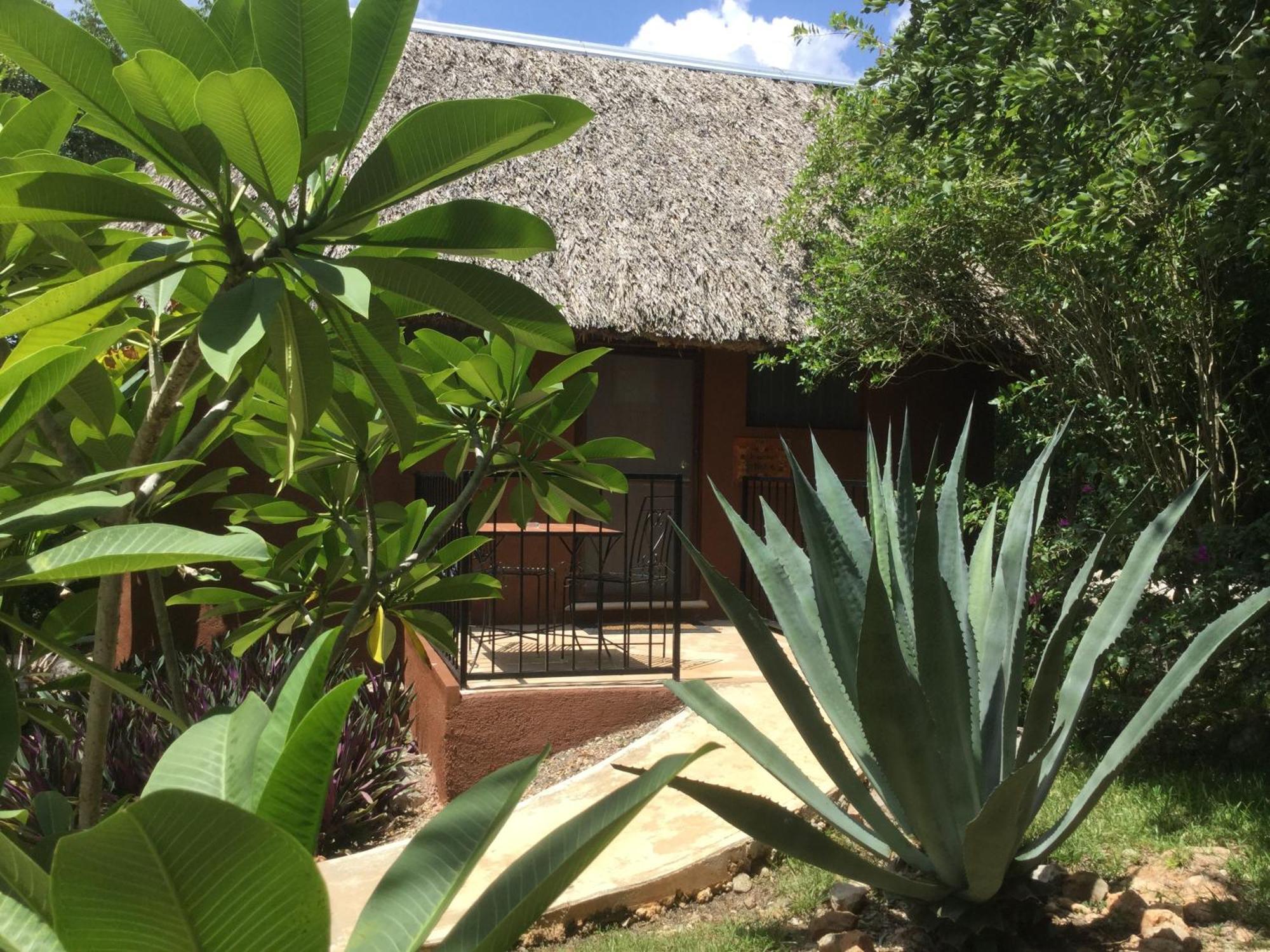 Santa Elena The Pickled Onion B&B And Restaurant Uxmal الغرفة الصورة