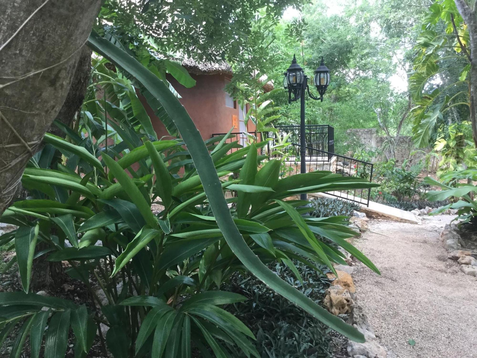 Santa Elena The Pickled Onion B&B And Restaurant Uxmal الغرفة الصورة