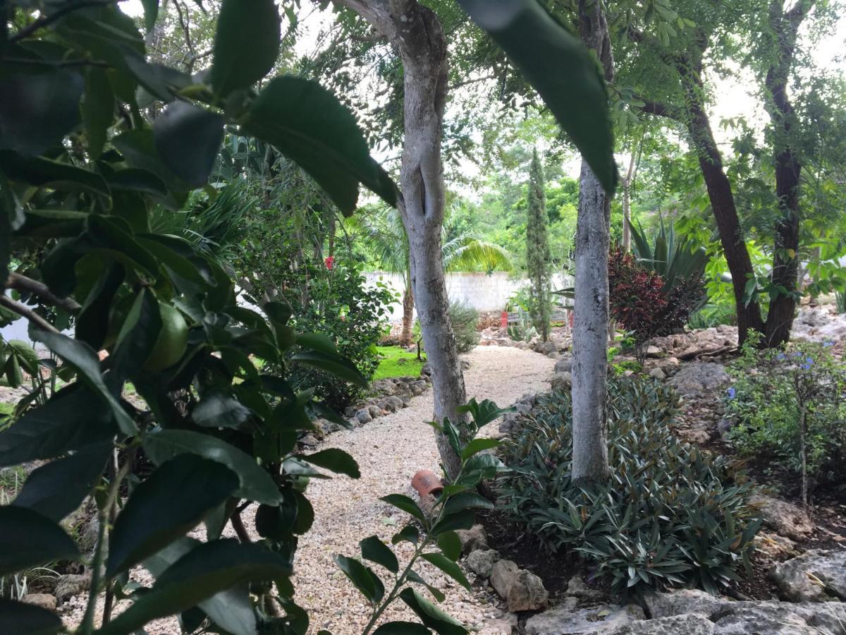 Santa Elena The Pickled Onion B&B And Restaurant Uxmal المظهر الخارجي الصورة