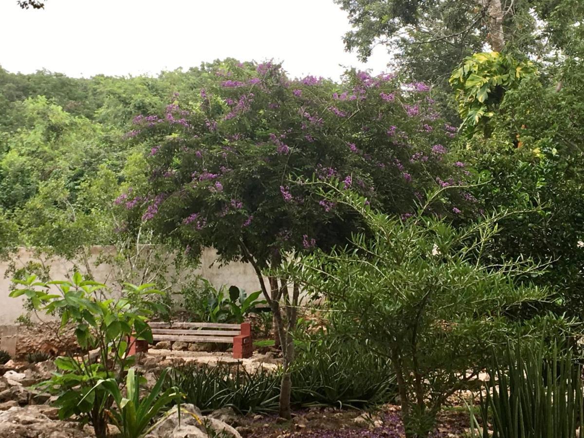 Santa Elena The Pickled Onion B&B And Restaurant Uxmal المظهر الخارجي الصورة